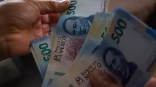 Las empresas de este tipo cobran por la apertura de cuenta y el supuesto papeleo que realizan para otorgar el dinero que se les solicita, afirman