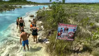 Bacalar pierde 277 hectáreas de manglares y humedales en dos décadas