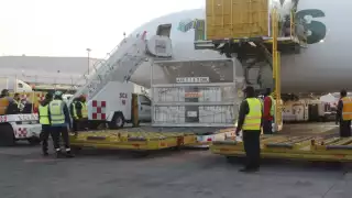 El sitio mivacuna.salud.gob.mx continúa abierto el registro para este segmento poblacional.