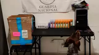 Guardia Nacional descubre vapeadores y marihuana dentro de una computadora en Cancún