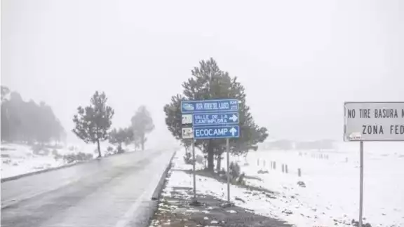 El Ajusco permanece con una capa de nieve durante la tarde de este domingo El Ajusco permanece con una capa de nieve durante la tarde de este domingo