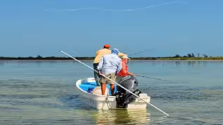 Yucatán refuerza vigilancia en la temporada de pulpo tras primeras muertes de pescadores por buceo ilegal