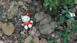 Revelan la causa de muerte de Ana Roberta, la niña hallada sin vida en Nuevo León