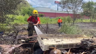 Hallan restos de animales tras incendio en terreno baldío