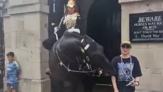 Filtran video de caballo de la Guardia Real mordiendo a una turista