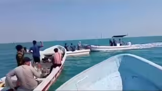 Pescadores denuncian depredación ilegal de pulpo maya en Isla Arena.