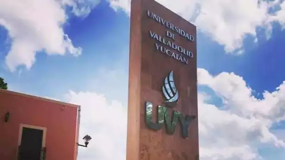 Egresados de la UVY denuncian atraso en la entrega de sus papeles de acreditación de estudios Egresados de la UVY denuncian atraso en la entrega de sus papeles de acreditación de estudios