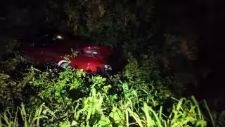 Guardia Nacional atiende percance vehicular en carretera federal