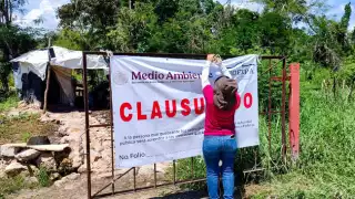 Justicia ambiental en Santa Maria Chi, Mérida; Profepa clausura granja porcícola de forma definitiva