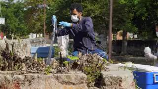 Crío y Bachoco ponen a Yucatán contra las cuerdas con estiércol en zonas mayas, contaminación del agua y granjas cerca de escuelas