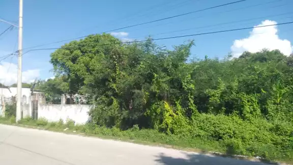 En Sabancuy, los terrenos baldíos abandonados se llenan de maleza y se convierten en criaderos de mosquitos y bichos ponzoñosos durante la temporada de lluvias. En Sabancuy, los terrenos baldíos abandonados se llenan de maleza y se convierten en criaderos de mosquitos y bichos ponzoñosos durante la temporada de lluvias.