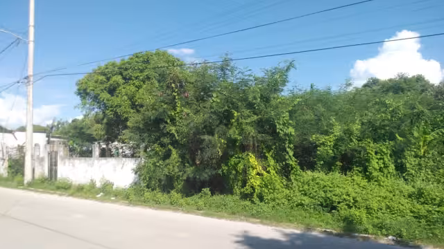 En Sabancuy, los terrenos baldíos abandonados se llenan de maleza y se convierten en criaderos de mosquitos y bichos ponzoñosos durante la temporada de lluvias.