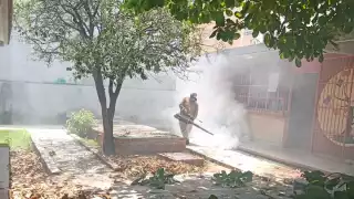 Campeche intensifica su lucha permanente contra el dengue