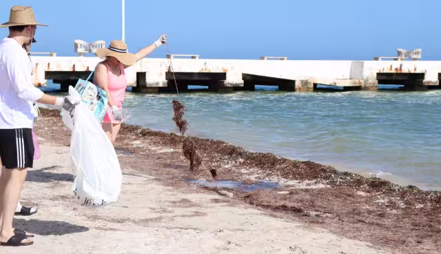 El programa contempla labores de aseo en playas y manglares, con sedes distribuidas en el litoral y una amplia convocatoria ciudadana.