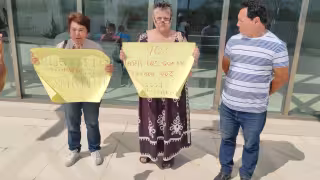 Animalistas de Campeche exigen justicia por “Dakota”, perrita macheteada