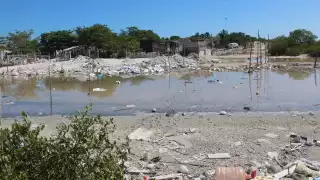 La Policía exhorta a no dañar a los cocodrilos