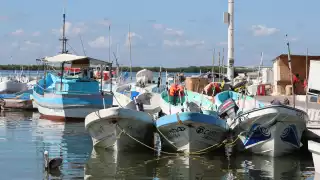 La mala costumbre de pedir anticipos y no regresar a pescar genera millonarias pérdidas en el sector