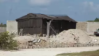 Registran una intensa ocupación de paracaidistas en zonas de manglar de comisarías del puerto