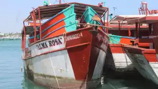 Pescadores esperan una temporada favorable, pese al impacto de la captura ilegal en semanas pasadas