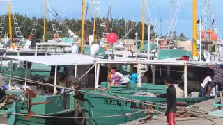 Sector pesquero exige estrategias productivas ante las temporada de vedas 2026