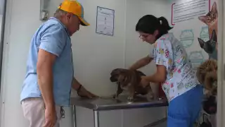 El año pasado Yucatán se colocó en octavo lugar en reportes de ataques, con 4 mil 430 incidentes