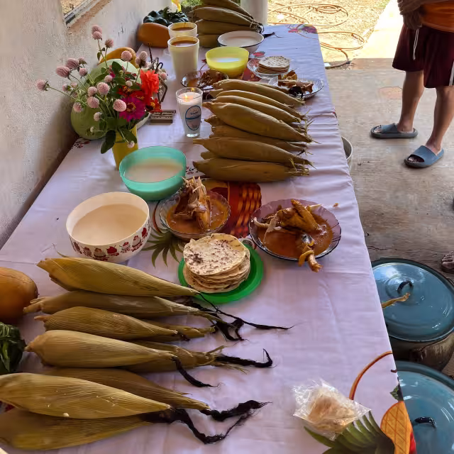 Ofrendas y comida casera: ritual familiar agradece bendiciones agrícolas