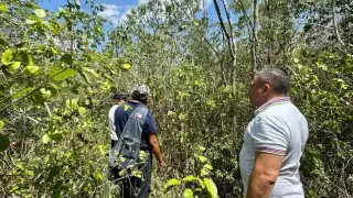 Con el Centro de Ceras y Criadero de Abejas Reinas se busca atraer turismo a este Pueblo Mágico