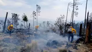 Podría aparecer otro incendio en Calkiní