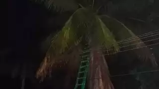 Los vecinos pidieron ayuda a Protección Civil para evitar un incendio