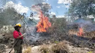 Por segunda vez en la semana, incendio de maleza en la colonia Miguel Hidalgo moviliza a bomberos