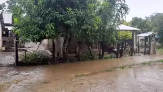 A pesar de la dificultad, las familias se las ingenian para sus labores diarias sin perder el optimismo.