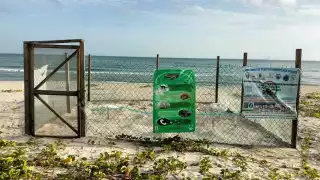 El corral donde tienen los huevos está en Playa Norte