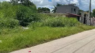 La maleza en la calle y banquetas representa un riesgo de mordeduras de animales y accidentes vehiculares