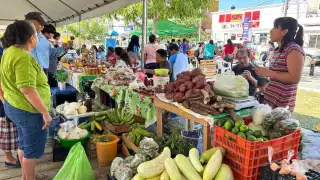  Plaza Cuauhtémoc de Candelaria se transforma en un exitoso Tianguis Campesino   