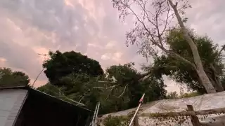 Fuerte tromba en Calakmul deja sin energía eléctrica a Zoh Laguna y causa daños materiales