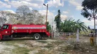 Incendio en predio baldío amenaza vivero; sin daños mayores