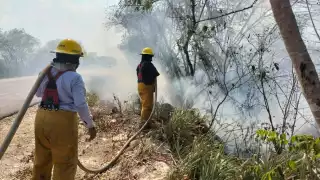 Escárcega y Ciudad del Carmen enfrentan incendios de maleza y viviendas abandonadas