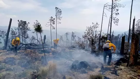 Podría aparecer otro incendio en Calkiní Podría aparecer otro incendio en Calkiní