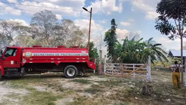 Incendio en predio baldío amenaza vivero; sin daños mayores