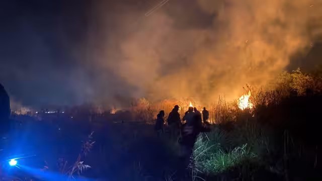 Un fuerte incendio de maleza en la colonia Carlos Salinas de Gortari, cerca del fraccionamiento Fundadores, movilizó a Protección Civil, el ejército y vecinos para controlarlo.