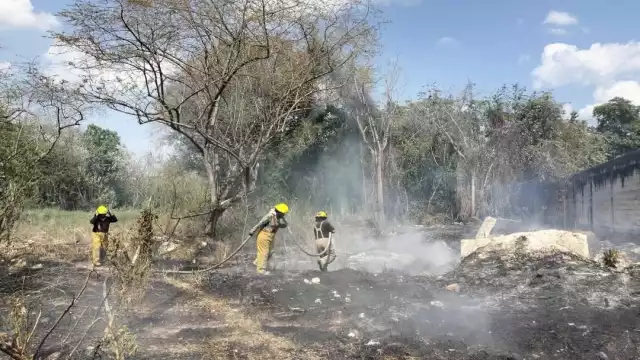 Bomberos y Protección Civil sofocaron un incendio de maleza en la colonia Esperanza.