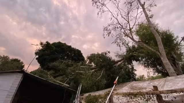 Afectaciones por tromba en Calakmul.