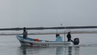 La mayoría de la labor es artesanal, desarrollada desde pequeñas embarcaciones con motores fuera de borda en zonas cercanas a la costa.