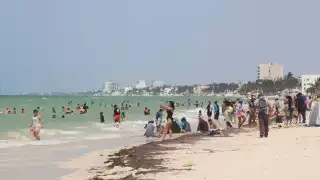 Las playas de Progreso lucieron abarrotadas