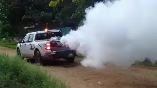 Casos de dengue preocupa por. los daños a menores