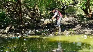   Ciudad del Carmen: Denuncian ecocidio en Laguna de Términos por desidia de autoridades   