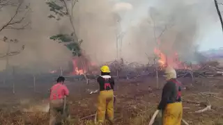 Bomberos controlan conato de incendio en la carretera Escárcega–Villahermosa