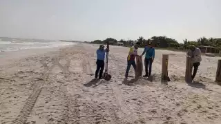 Bloquean acceso a parte de Playa Norte de Campeche por Temporada de Anidación 2025 