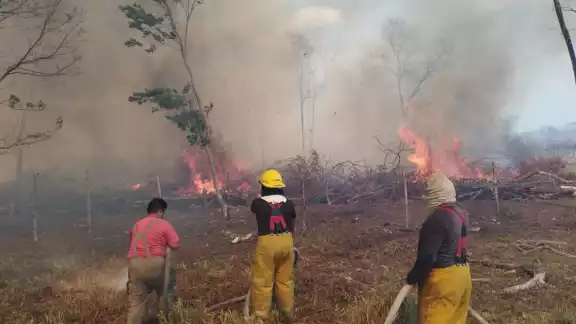 Efecto lupa podría haber provocado incendio en carretera federal Escárcega – Villahermosa Efecto lupa podría haber provocado incendio en carretera federal Escárcega – Villahermosa