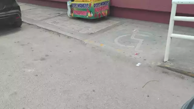 Las personas con discapacidad no ven las adecuaciones requeridas por la ley para el acceso de establecimientos.